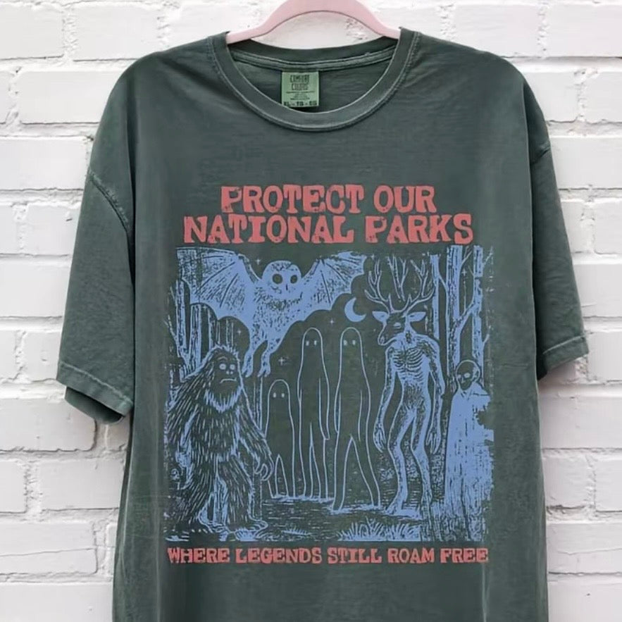 Protect Our National Parks Vintage T-Shirt/Sweatshirt/Hoodie