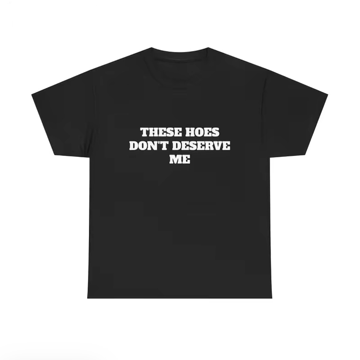 These Hoes Don't Deserve Me T-Shirt/Sweatshirt/Hoodie