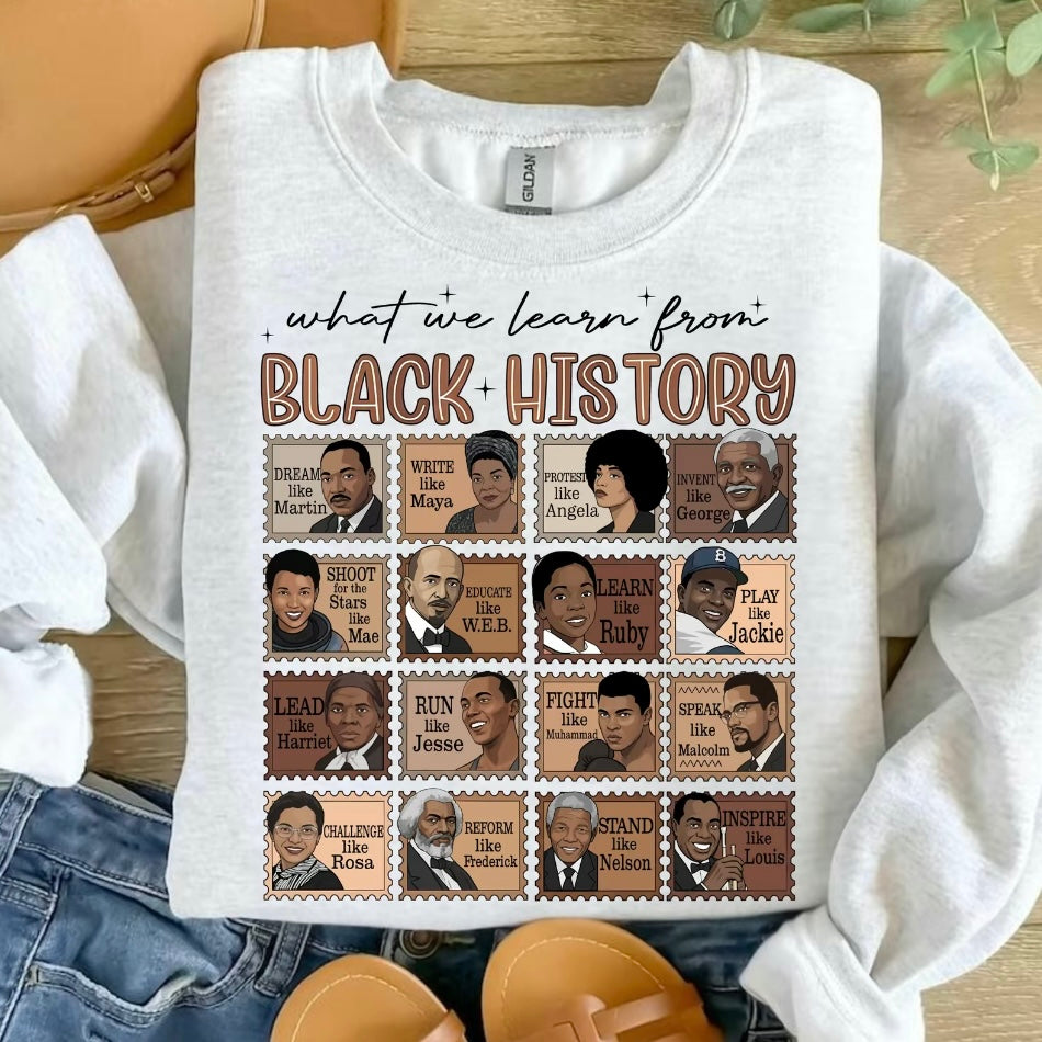 What We Learn From Black History T-Shirt/Sweatshirt/Hoodie