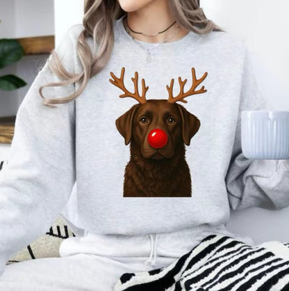 Christmas Reindeer Dog T-Shirt/Sweatshirt/Hoodie