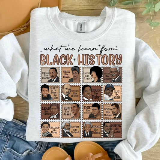 What We Learn From Black History T-Shirt/Sweatshirt/Hoodie